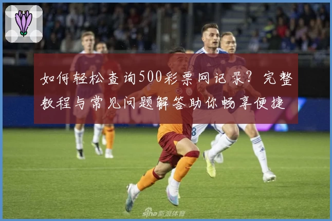 如何轻松查询500彩票网记录？完整教程与常见问题解答助你畅享便捷体验