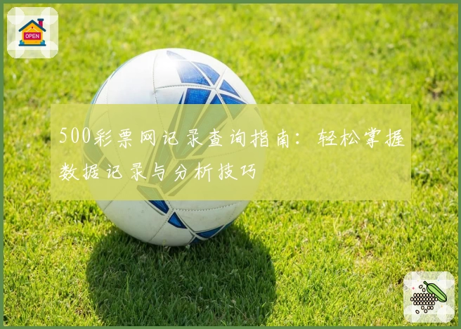 500彩票网记录查询指南：轻松掌握数据记录与分析技巧