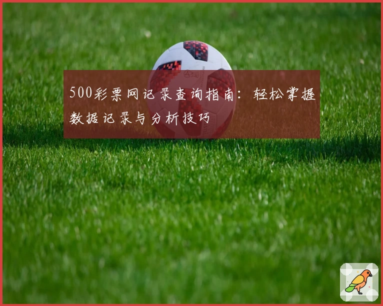 500彩票网记录查询指南：轻松掌握数据记录与分析技巧