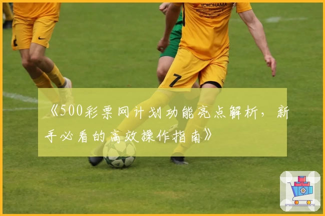 《500彩票网计划功能亮点解析，新手必看的高效操作指南》