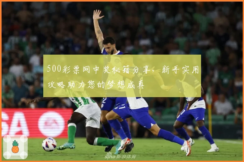 500彩票网中奖秘籍分享，新手实用攻略助力您的梦想成真