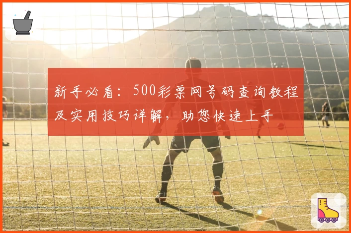 新手必看:500彩票网号码查询教程及实用技巧详解,助您快速上手