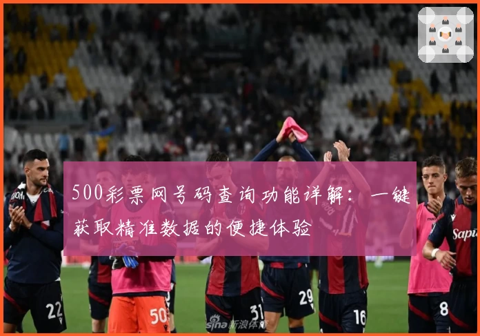 500彩票网号码查询功能详解:一键获取精准数据的便捷体验