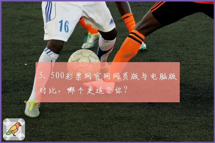 5. 500彩票网官网网页版与电脑版对比，哪个更适合你？