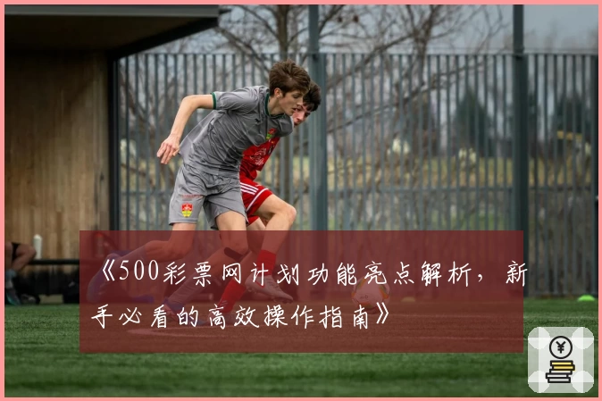 《500彩票网计划功能亮点解析,新手必看的高效操作指南》