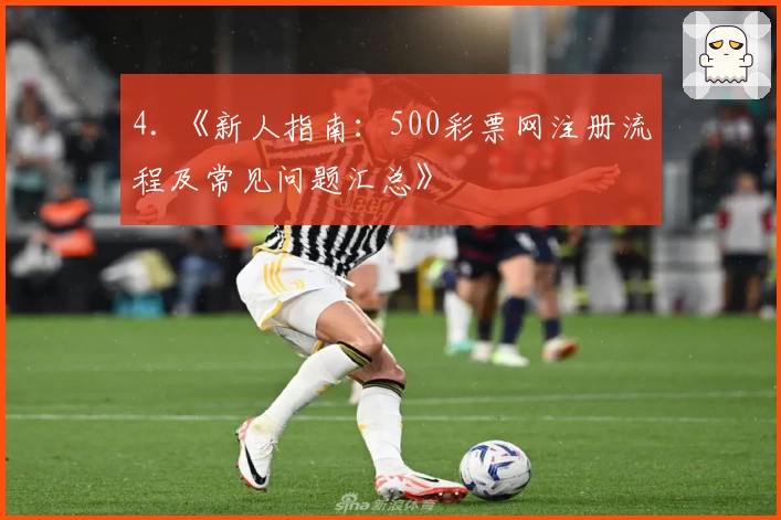 4. 《新人指南：500彩票网注册流程及常见问题汇总》