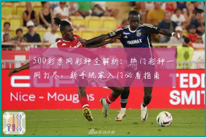 500彩票网彩种全解析：热门彩种一网打尽，新手玩家入门必看指南